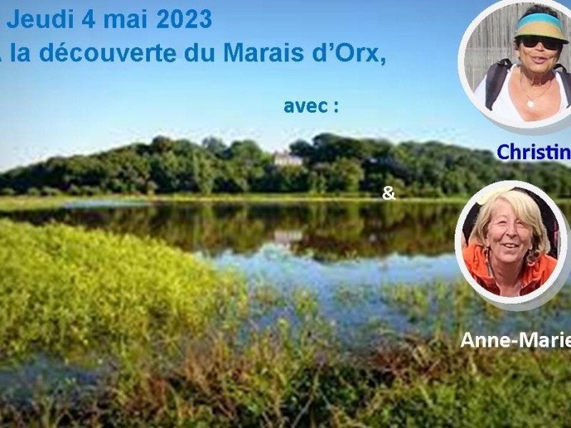 Une belle découverte du Marais&nbsp;d&rsquo;Orx