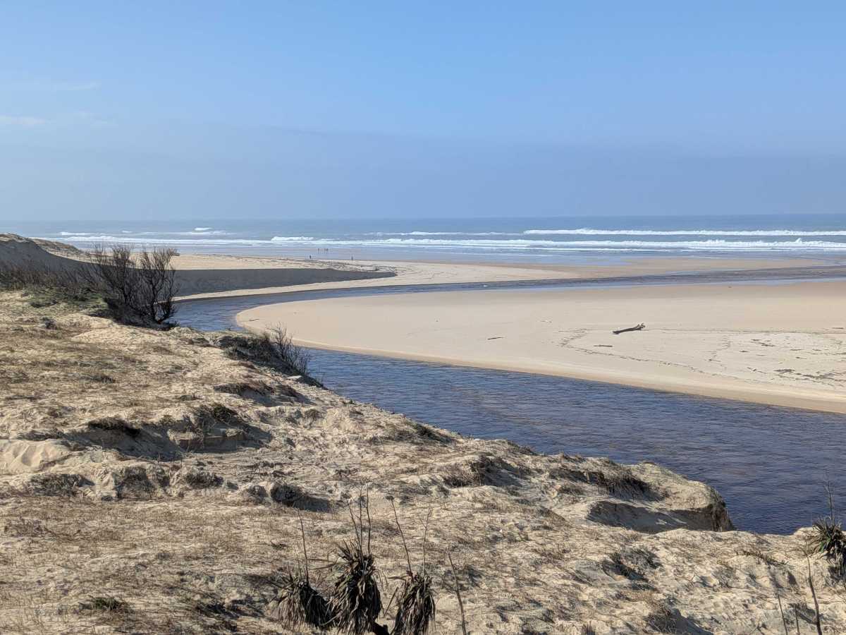 25 juin 2026 : Randonnée et promenade en barque dans la réserve Naturelle du Courant&nbsp;d’Huchet